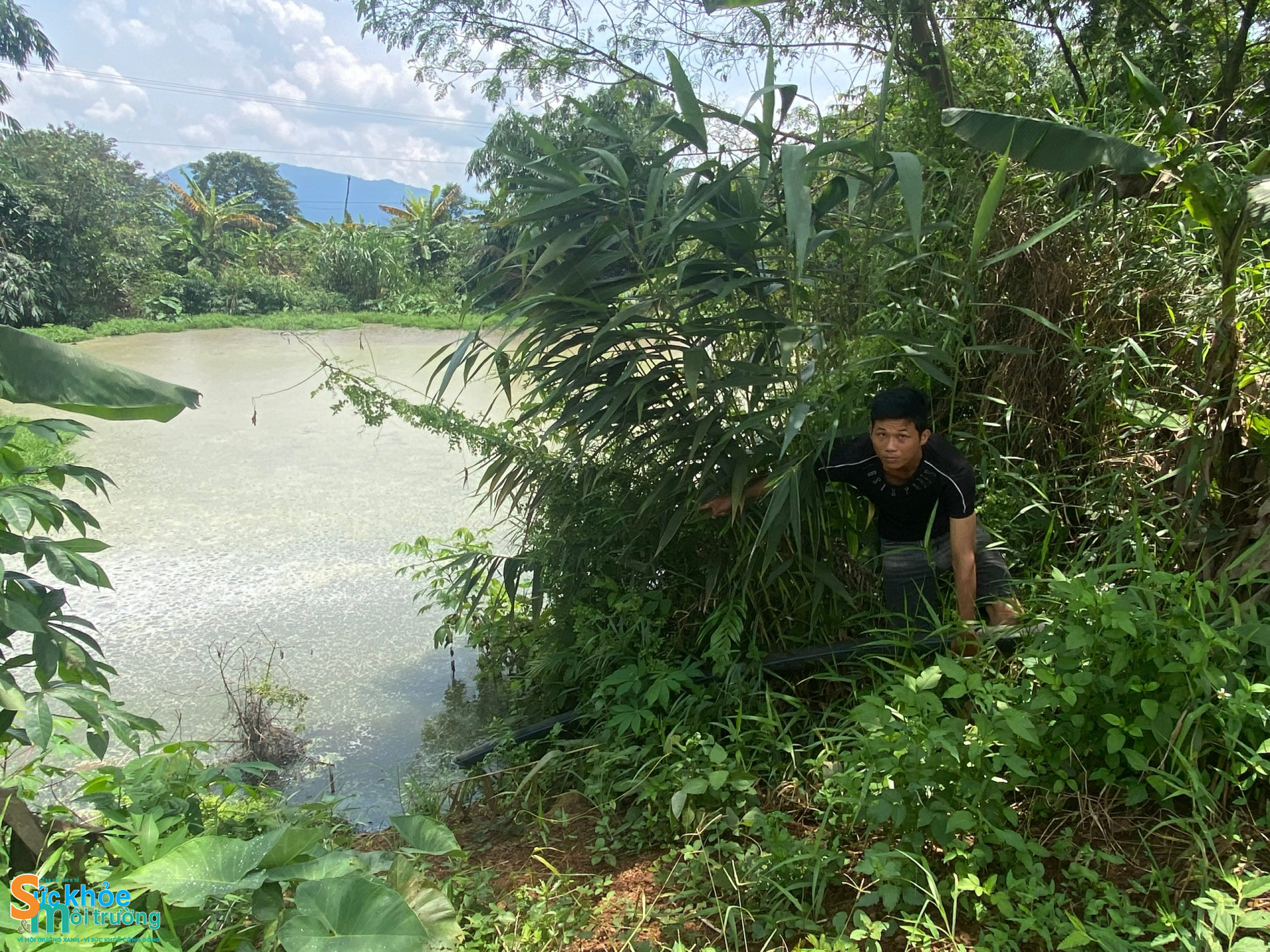 Đắk Nông: Ô nhiễm môi trường nghiêm trọng từ trại nuôi heo quy mô hàng chục nghìn con