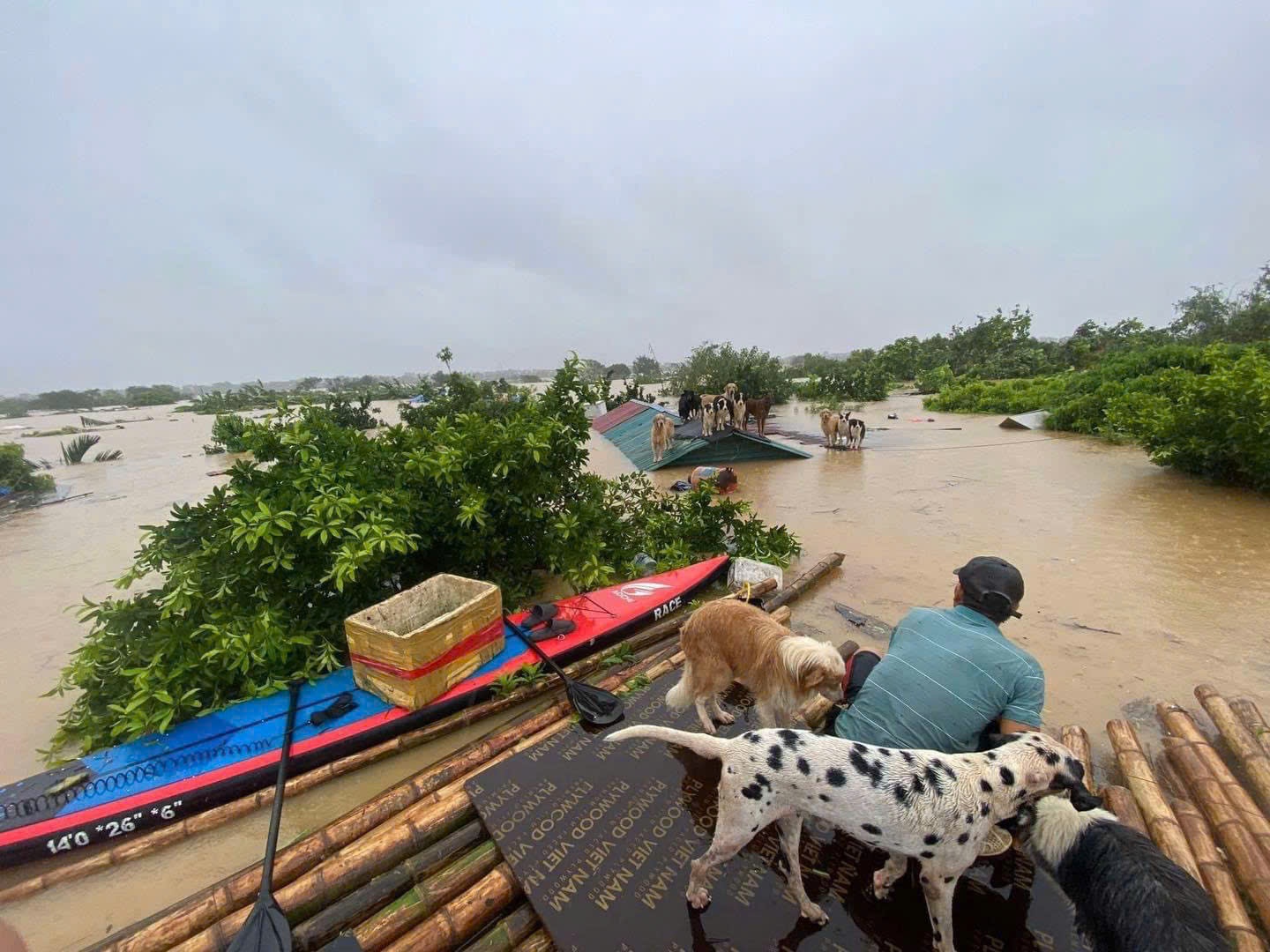 Hà Nội: Đảm bảo an toàn cho người dân sống ngoài đê sông Hồng