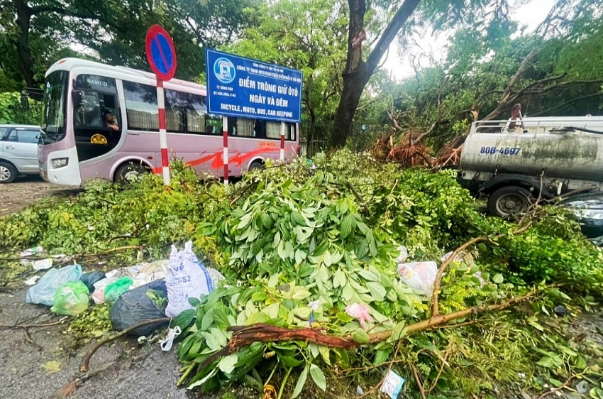 Hà Nội: Cần nêu cao ý thức của người dân trong đảm bảo môi trường sau bão