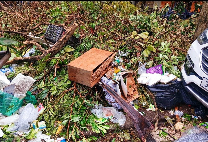 Hà Nội: Cần nêu cao ý thức của người dân trong đảm bảo môi trường sau bão