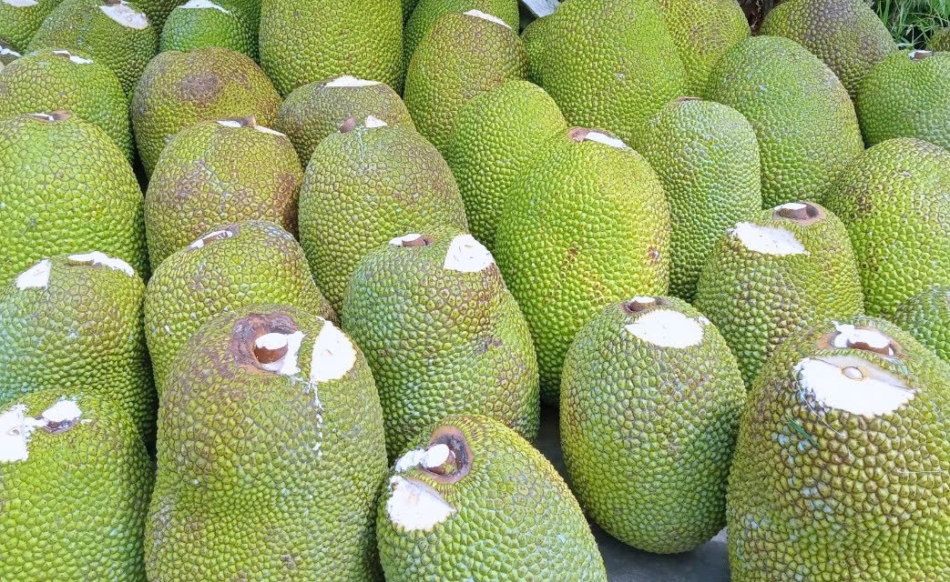 Làm gì để trái cây vùng Đồng bằng sông Cửu Long phát huy được thế mạnh Làm gì để trái cây vùng Đồng bằng sông Cửu Long phát huy được thế mạnh