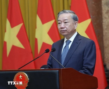 viet nam va cac nuoc chung tay xay dung the gioi phat trien hoa binh ben vung
