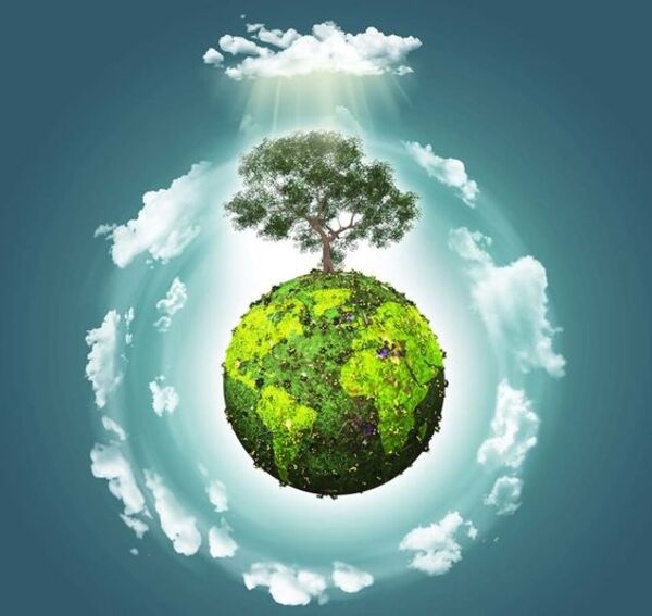 Chi tiết hóa một số điều của Luật Bảo vệ môi trường 