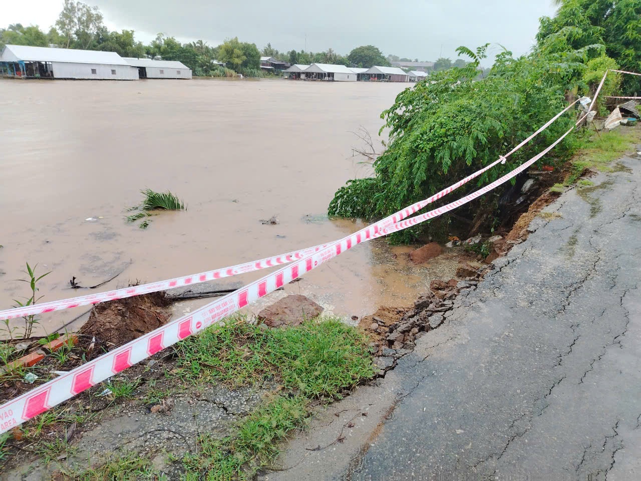 An Giang: Sạt lở bờ sông tại thị xã Tân Châu An Giang: Sạt lở bờ sông tại thị xã Tân Châu