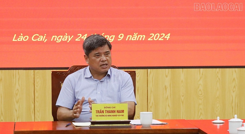 undefined Thứ trưởng Bộ Nông nghiệp và Phát triển nông thôn Trần Thanh Nam phát biểu tại buổi làm việc.