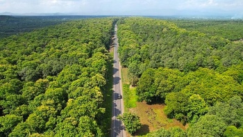 bao ton he sinh thai 58000 ha rung tu nhien o dong nai