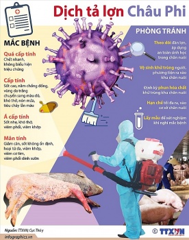 khoanh vung khong che dich ta lon chau phi tai ninh thuan