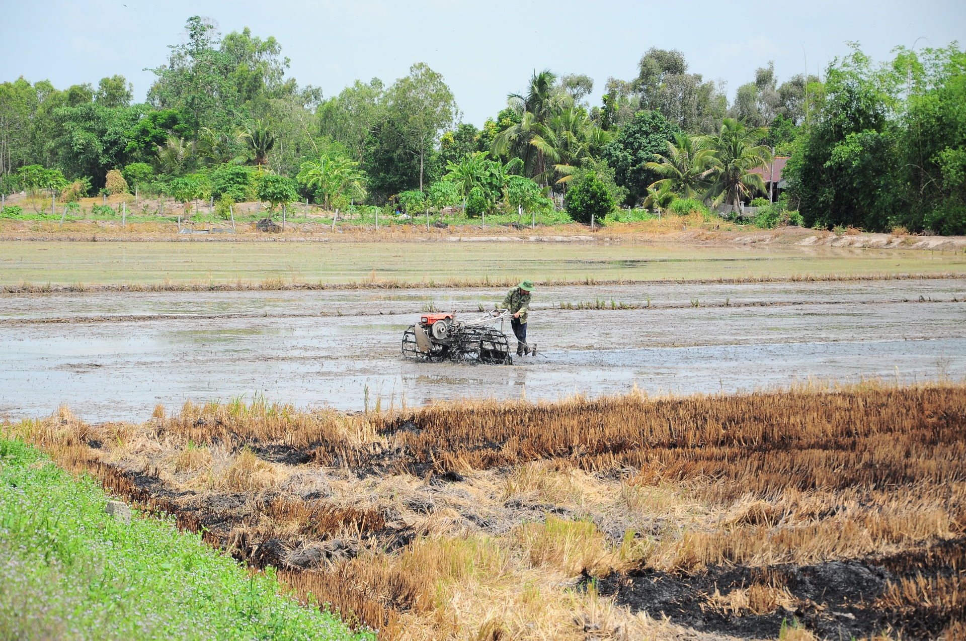 Hội thảo quốc gia “Đất và phân bón” lần thứ I năm 2024 Hội thảo quốc gia “Đất và phân bón” lần thứ I năm 2024