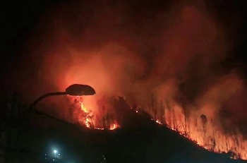 quang ninh chay rung o thanh pho cam pha thieu rui khoang 10ha rung