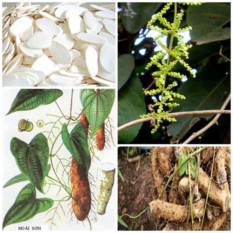 Dưỡng phế trong gió lạnh đầu mùa, thời tiết khô hanh