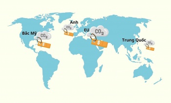 nhung thi truong carbon lon nhat the gioi