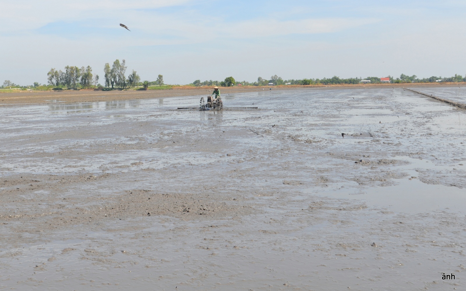 Đồng bằng sông Cửu Long đối mặt với suy thoái đất và ô nhiễm môi trường