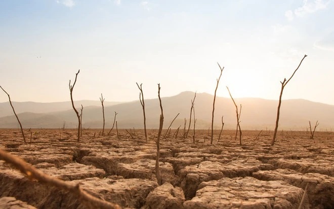 EU thúc đẩy hành động khắc phục sa mạc hóa để đảm bảo tương lai bền vững EU thúc đẩy hành động khắc phục sa mạc hóa để đảm bảo tương lai bền vững