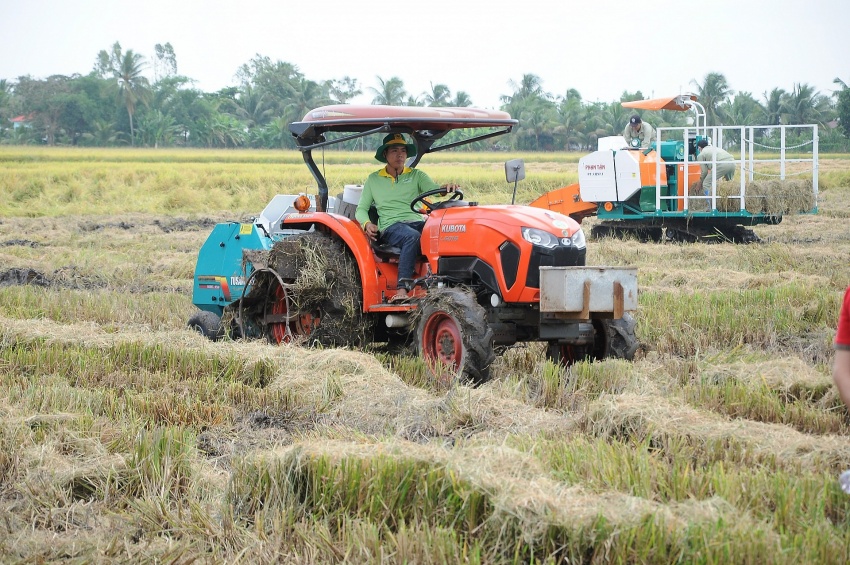 Thực hiện Đề án 1 triệu ha lúa chất lượng cao: Cách mạng lúa gạo không thể thiếu vai trò của nông dân