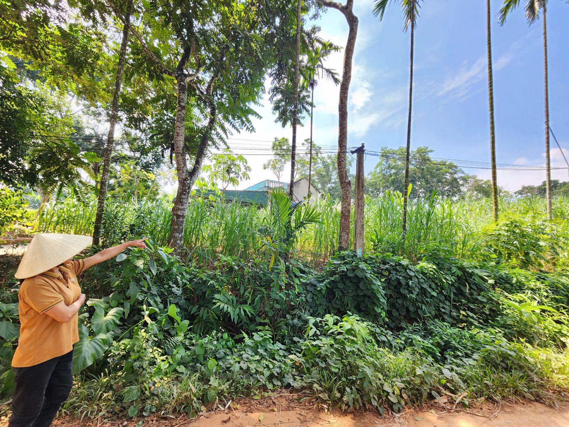 Bà Phan Thị Nong, thôn Minh Thủy, xã Minh Sơn phấn khởi vì sau khi thi công Dự án chông sạt lở đã có mặt bằng để canh tác, tăng gia sản xuất