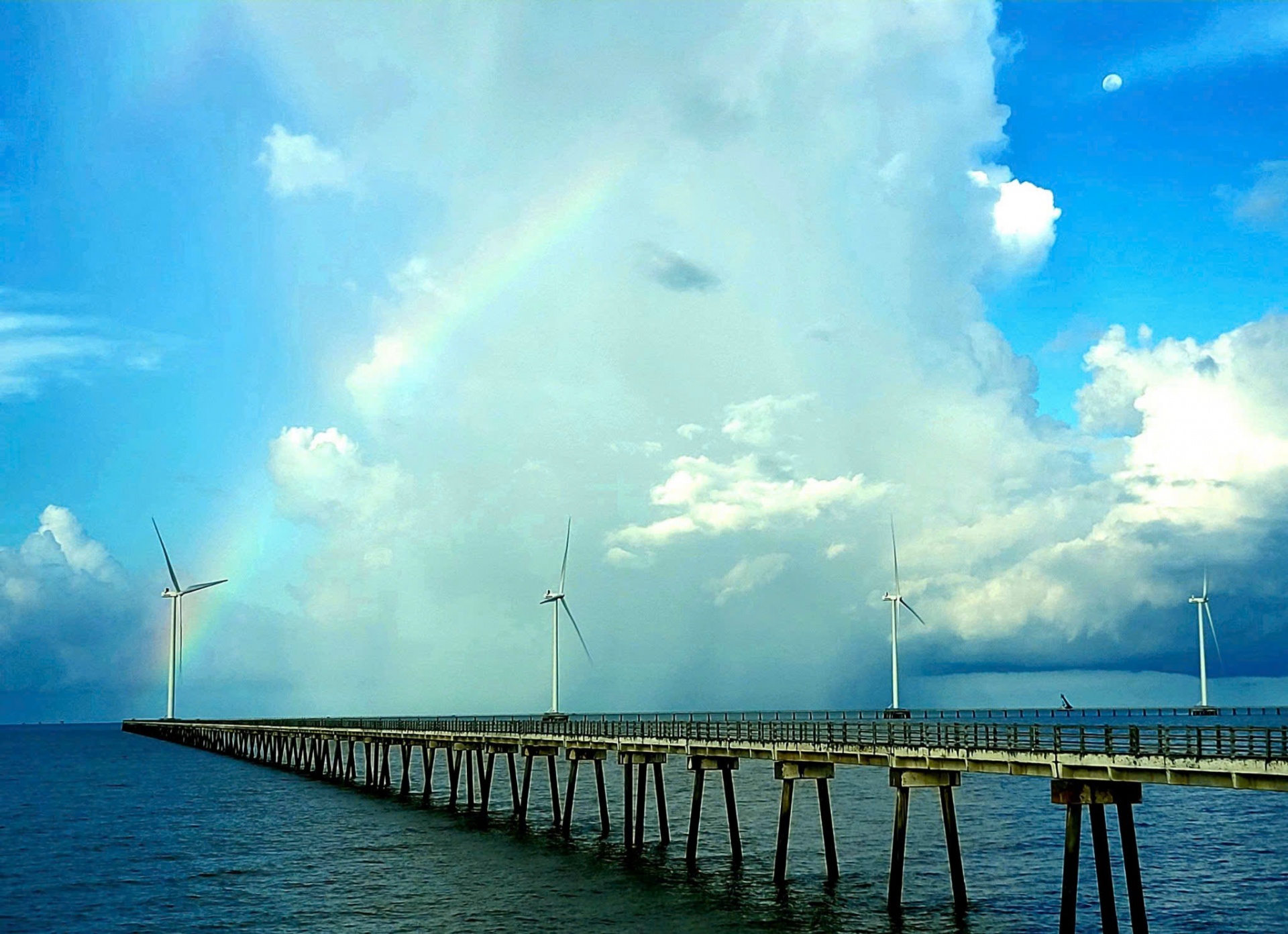 Bạc Liêu phát triển kinh tế gắn với bảo vệ môi trường Bạc Liêu phát triển kinh tế gắn với bảo vệ môi trường