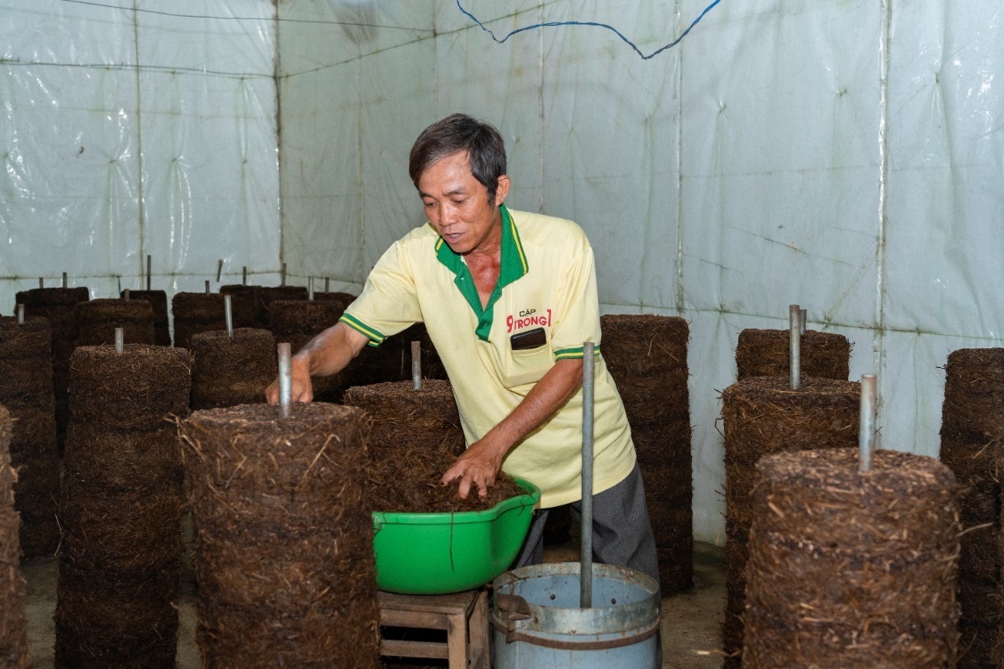 Nông dân thực hiện mô hình trồng nấm rơm trong nhà.