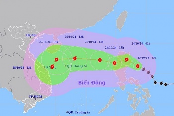tin moi ve bao trami