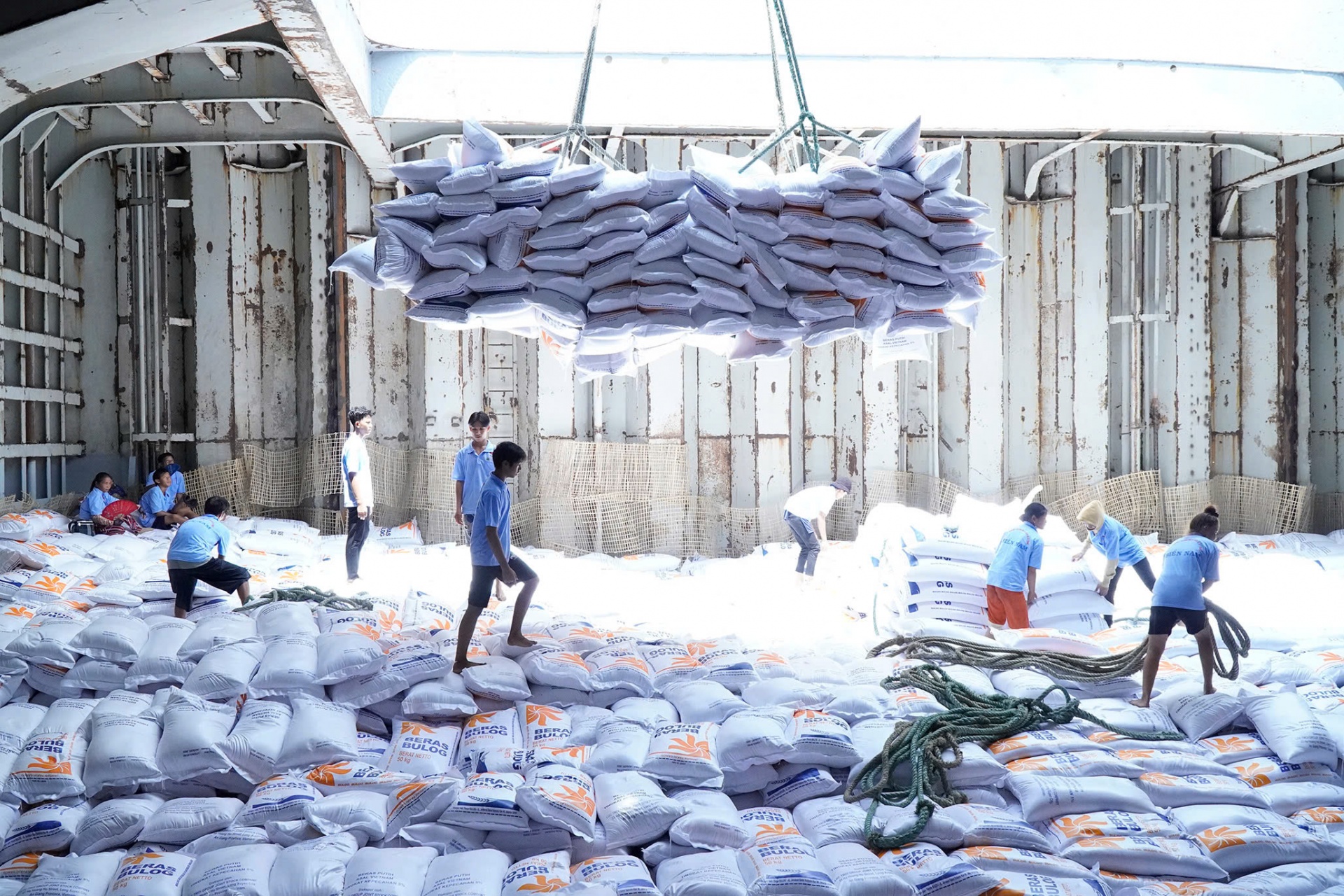 Tìm giải pháp thúc đẩy liên kết chuỗi giá trị lúa gạo góp phần thực hiện đề án 1 triệu ha lúa chất lượng cao Tìm giải pháp thúc đẩy liên kết chuỗi giá trị lúa gạo góp phần thực hiện đề án 1 triệu ha lúa chất lượng cao