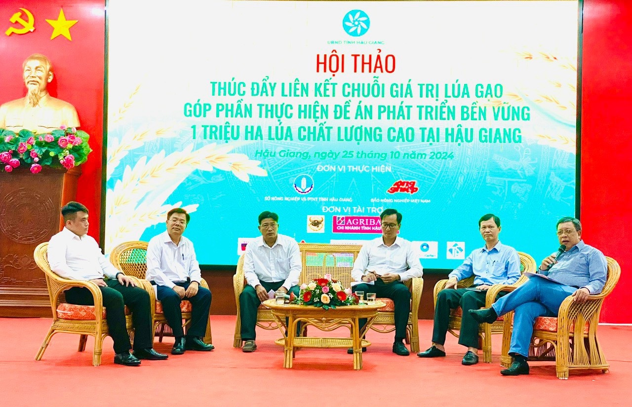 Tìm giải pháp thúc đẩy liên kết chuỗi giá trị lúa gạo góp phần thực hiện đề án 1 triệu ha lúa chất lượng cao Tìm giải pháp thúc đẩy liên kết chuỗi giá trị lúa gạo góp phần thực hiện đề án 1 triệu ha lúa chất lượng cao