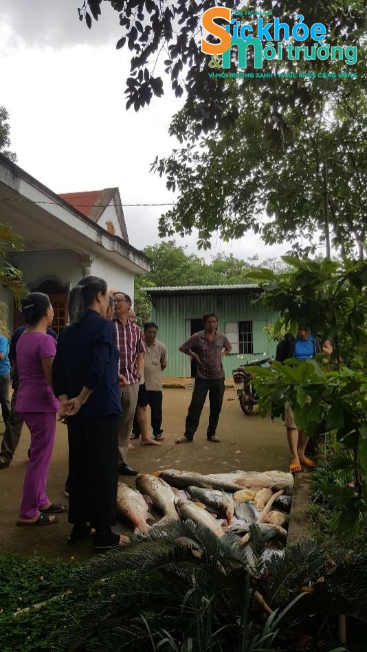 Huyện Bù Đăng, Tỉnh Bình Phước: Nỗi khổ của người dân khi xây dựng đập nước Đarana