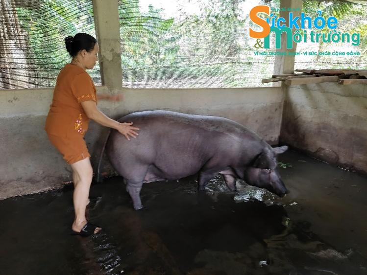 Huyện Bù Đăng, Tỉnh Bình Phước: Nỗi khổ của người dân khi xây dựng đập nước Đarana