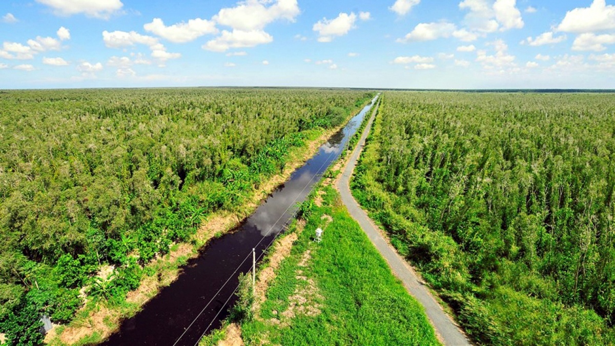 Phương án vận hành thị trường carbon tại Việt Nam từ 2028 Phương án vận hành thị trường carbon tại Việt Nam từ 2028