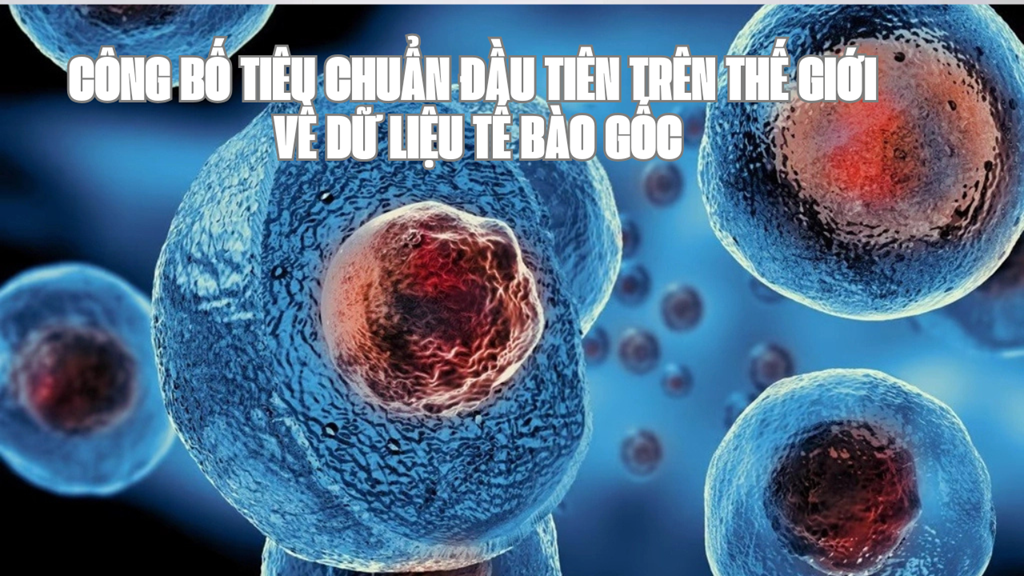 Công bố tiêu chuẩn về dữ liệu tế bào gốc – ISO8472-1