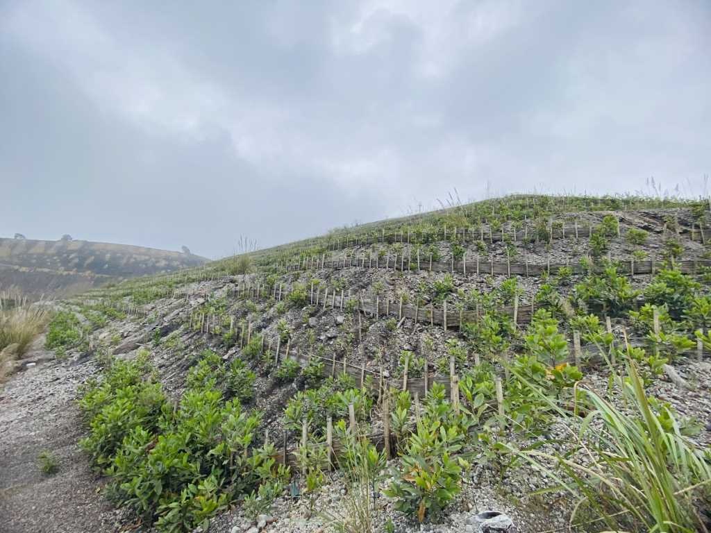 Trồng cây năng lượng, phục hồi môi trường sau khai khoáng