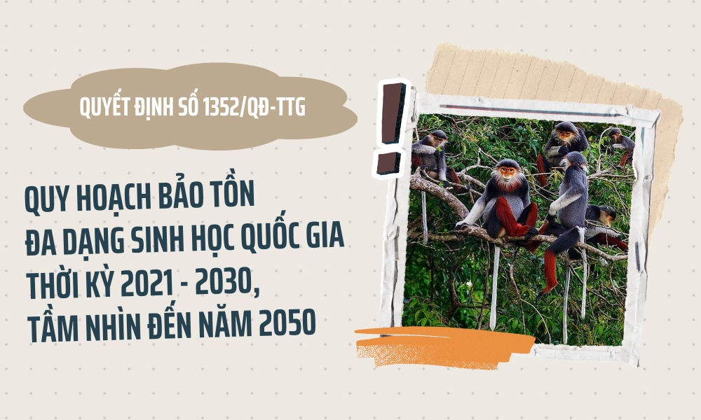 Quy hoạch bảo tồn đa dạng sinh học quốc gia, tầm nhìn đến năm 2050 Quy hoạch bảo tồn đa dạng sinh học quốc gia, tầm nhìn đến năm 2050