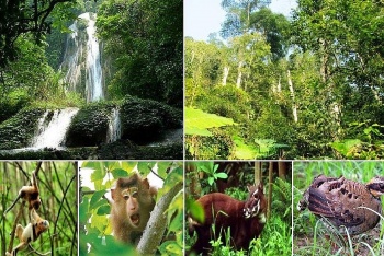 quy hoach bao ton da dang sinh hoc quoc gia tam nhin den nam 2050