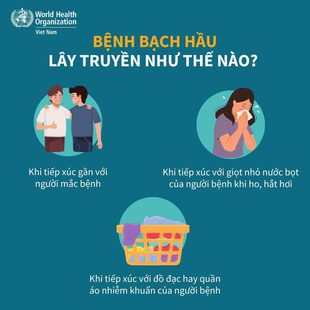 Chủ động phòng chống bệnh bạch hầu, không để lây lan Chủ động phòng chống bệnh bạch hầu, không để lây lan