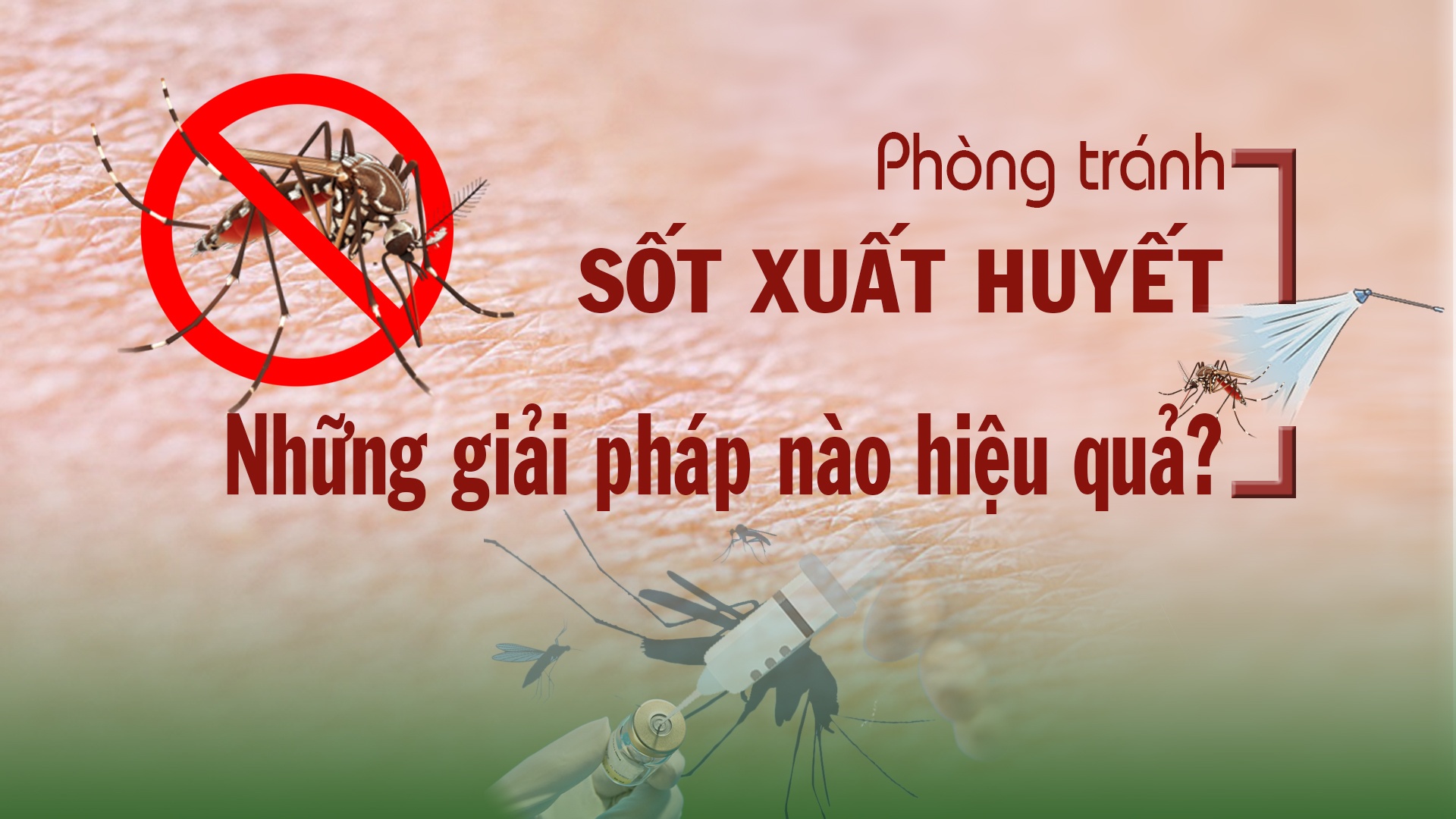 Tọa đàm sẽ bàn những giải pháp để phòng tránh, ngăn ngừa sốt xuất huyết hiệu quả Tọa đàm sẽ bàn những giải pháp để phòng tránh, ngăn ngừa sốt xuất huyết hiệu quả