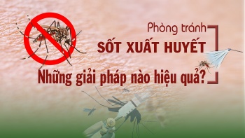 phong tranh sot xuat huyet nhung giai phap nao hieu qua