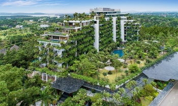 hanh dong xanh tu chinh sach cong