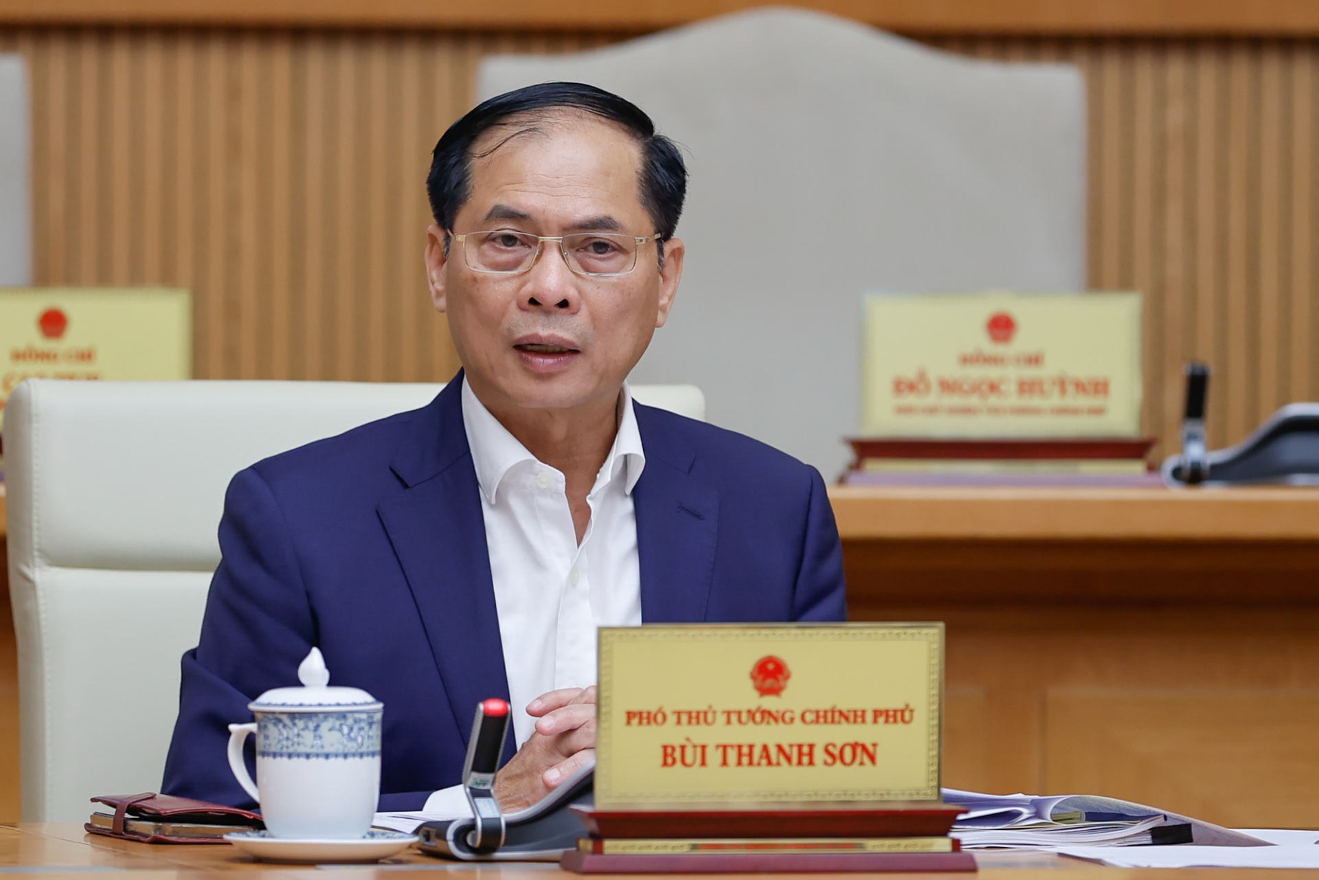  Phó Thủ tướng Bùi Thanh Sơn phát biểu - Ảnh: VGP