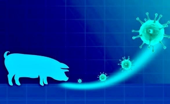 Cúm A/H1pdm (còn gọi là cúm lợn) đang diễn biến phức tạp trên cả nước Cúm A/H1pdm (còn gọi là cúm lợn) đang diễn biến phức tạp trên cả nước