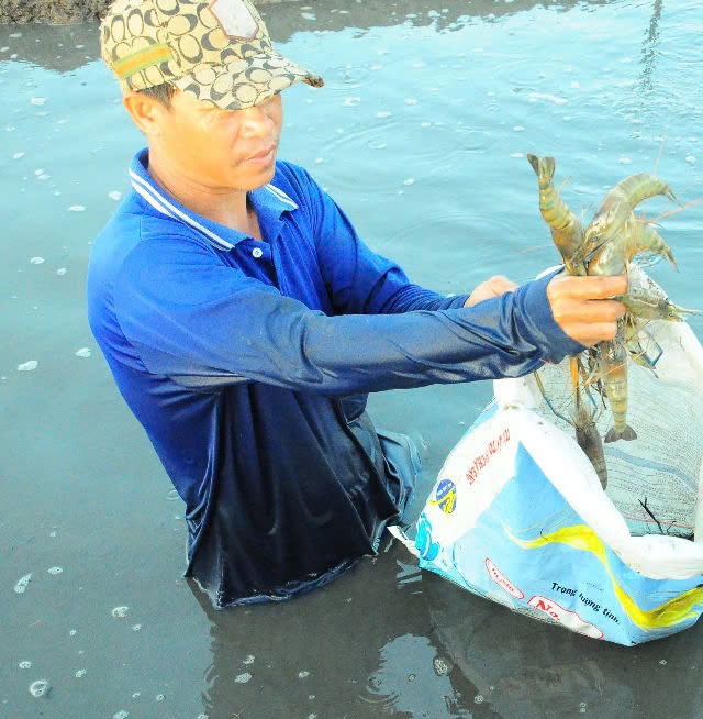 Thay đổi tư duy sản xuất, định vị nông nghiệp với đa góc độ