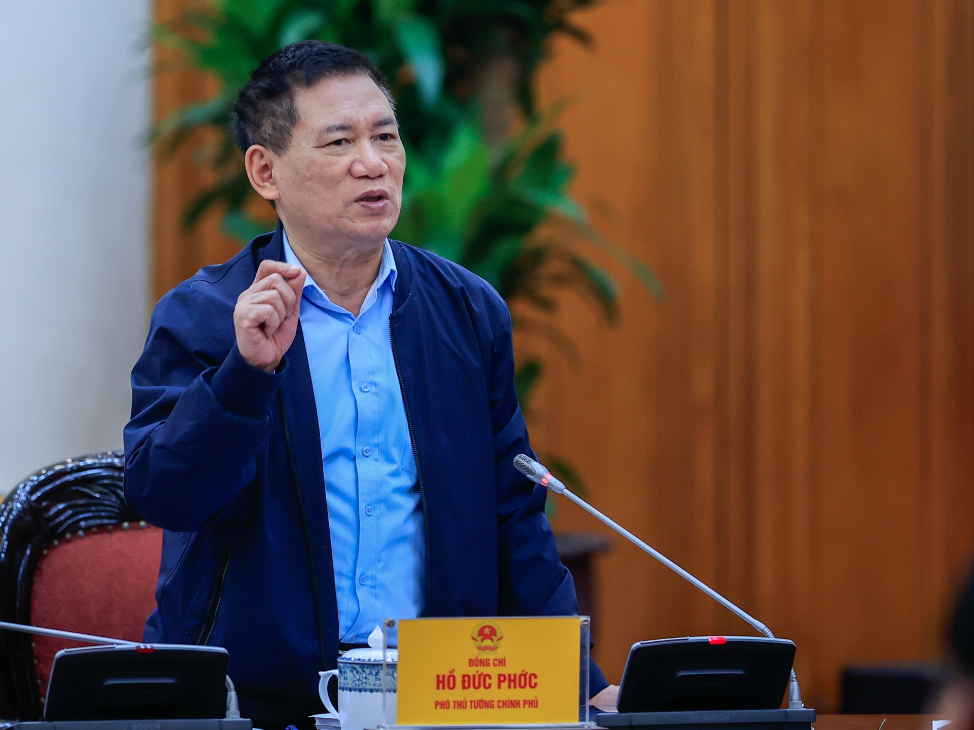  Phó Thủ tướng Hồ Đức Phớc phát biểu tại phiên họp - Ảnh: VGP
