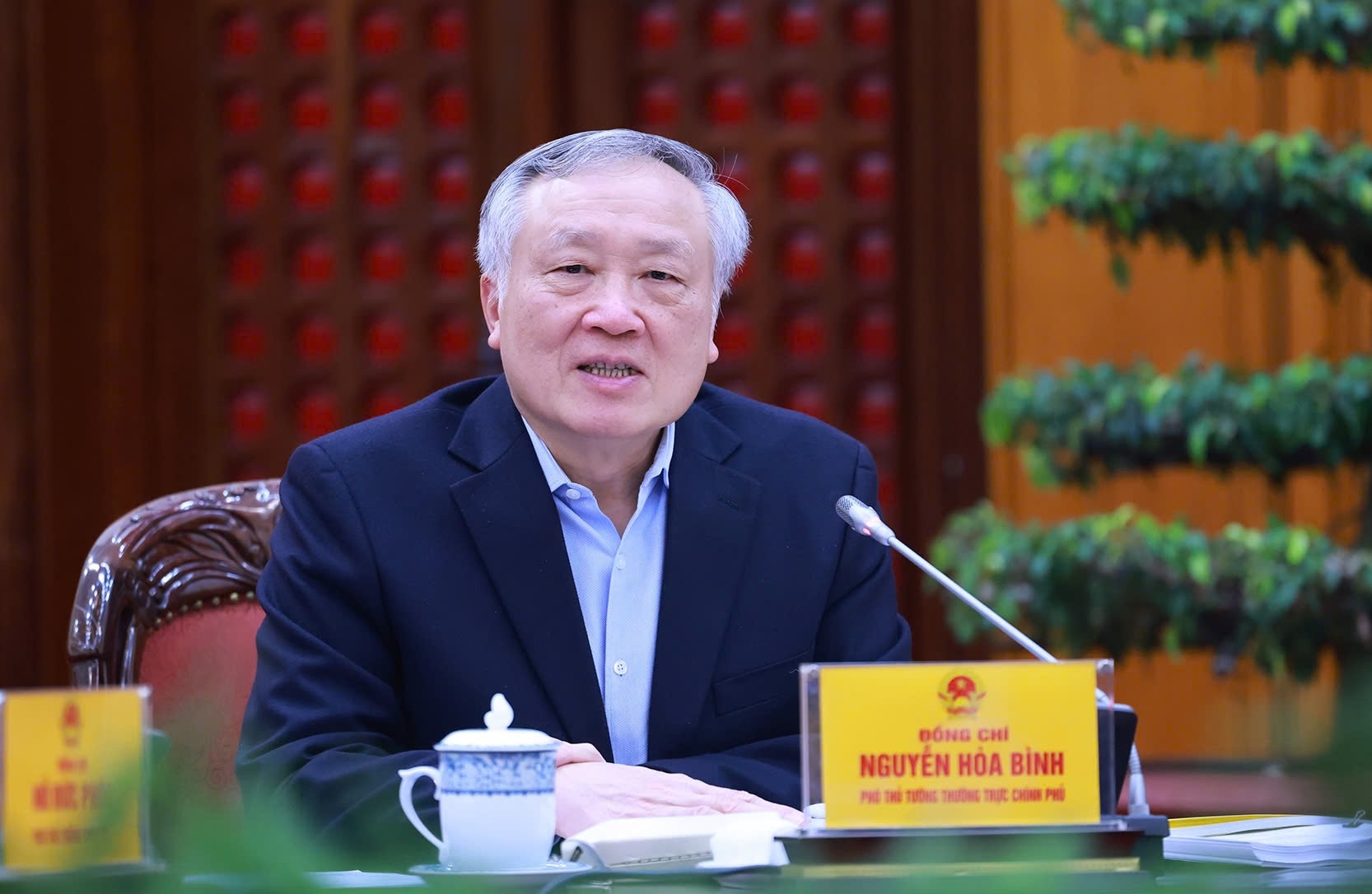   Phó Thủ tướng Thường trực Chính phủ Nguyễn Hòa Bình phát biểu tại phiên họp - Ảnh: VGP