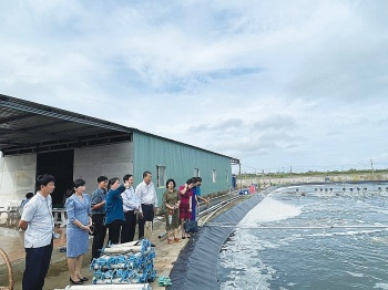 Hợp tác xã (HTX) Artemia Vĩnh Châu - Bạc Liêu: Mang thương hiệu vươn tầm thế giới