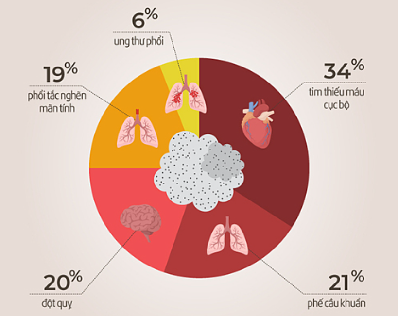 Theo Tổ chức Y tế Thế giới (WHO), mỗi năm có khoảng 7 triệu người trên toàn thế giới tử vong do các bệnh liên quan đến ô nhiễm không khí, cả trong nhà lẫn ngoài trời.