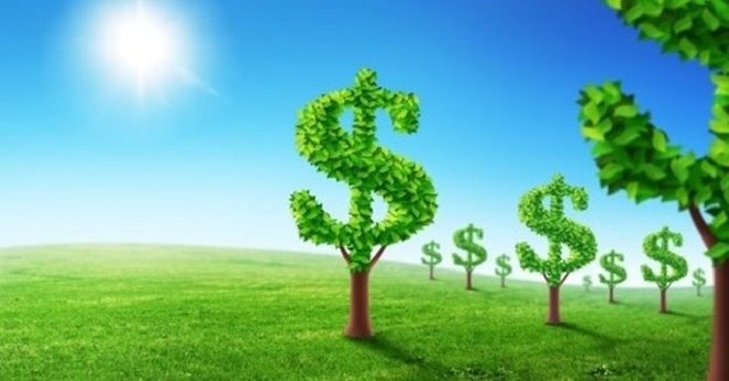 Cơ hội để doanh nghiệp tham gia vào nền kinh tế xanh