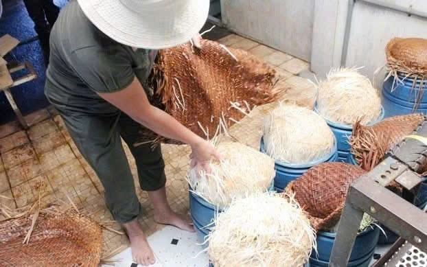 Nơi giá đỗ sản xuất bằng hóa chất bị phát hiện