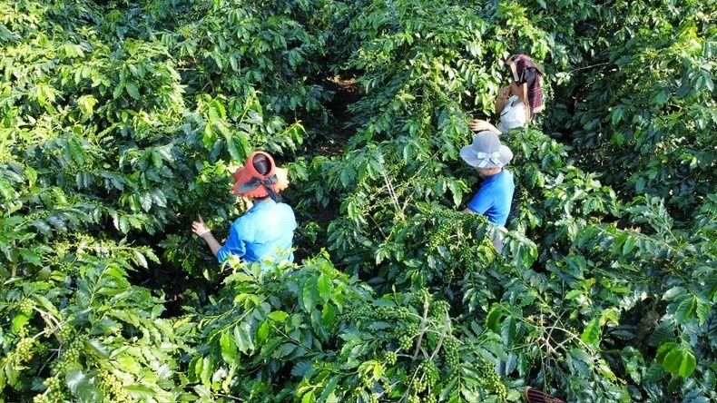 Huyện Mường Ảng (Điện Biên): Từng bước thực hiện các chính sách an sinh xã hội, xóa đói giảm nghèo Huyện Mường Ảng (Điện Biên): Từng bước thực hiện các chính sách an sinh xã hội, xóa đói giảm nghèo