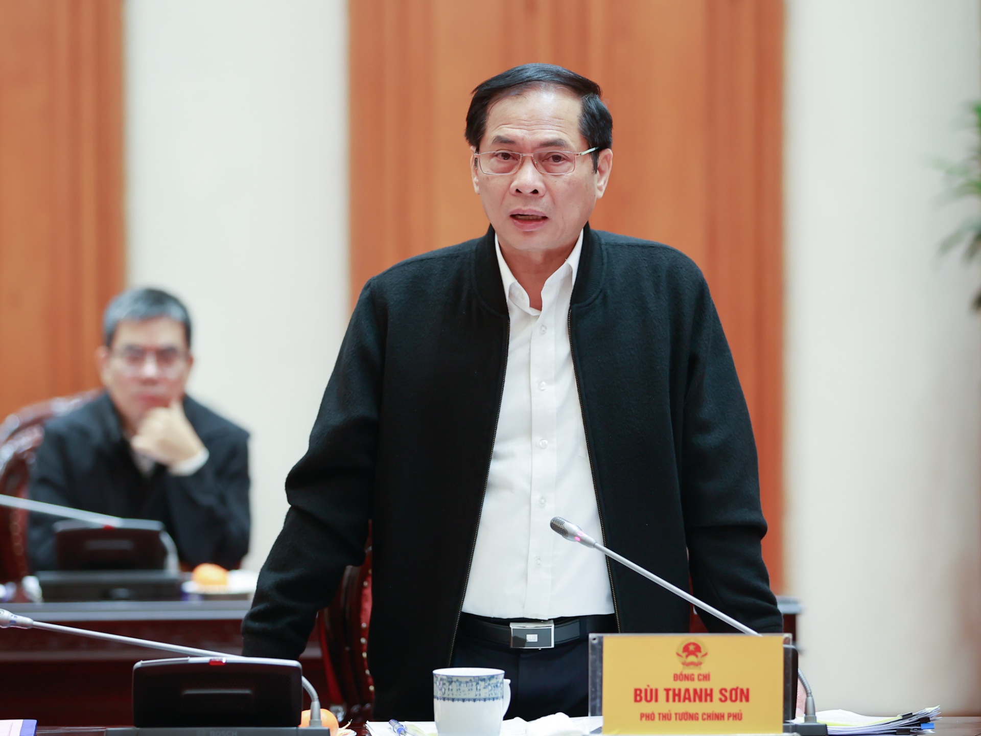   Phó Thủ tướng Bùi Thanh Sơn phát biểu - Ảnh: VGP