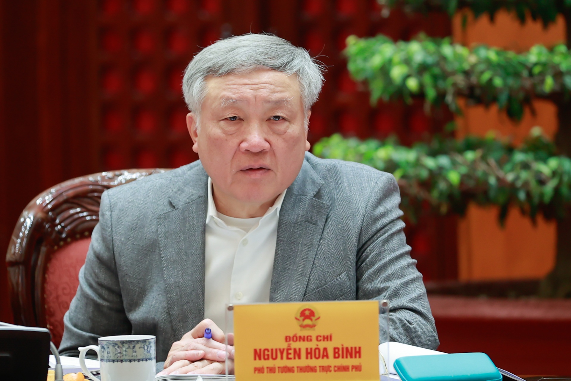   Phó Thủ tướng Thường trực Nguyễn Hoà Bình phát biểu tại phiên họp - Ảnh: VGP