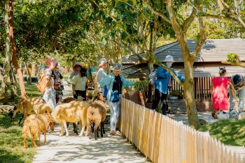 nhieu chuong trinh hap dan don xuan at ty tai cantho eco resort