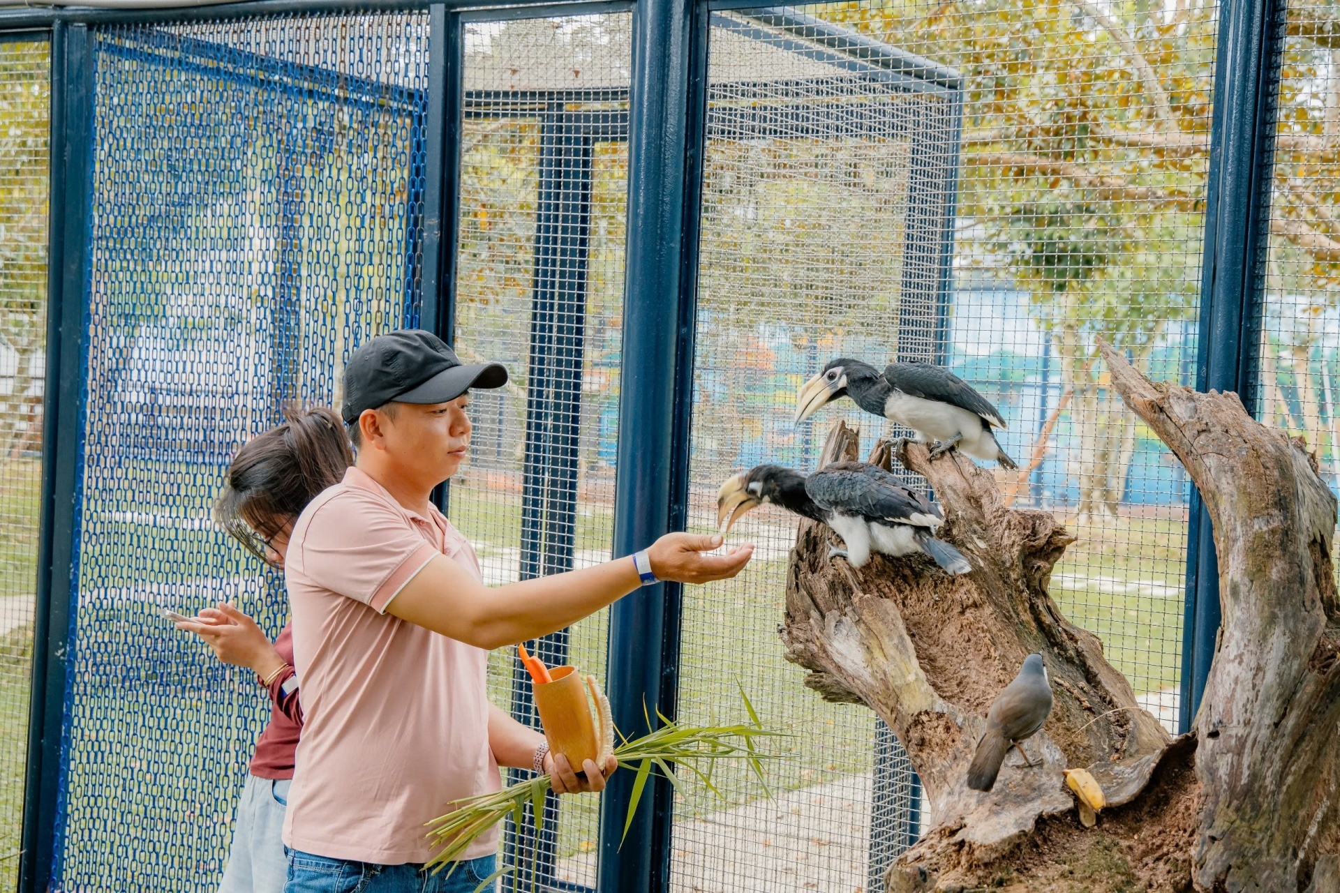 Nhiều chương trình hấp dẫn đón Xuân Ất Tỵ tại Cantho Eco Resort Nhiều chương trình hấp dẫn đón Xuân Ất Tỵ tại Cantho Eco Resort