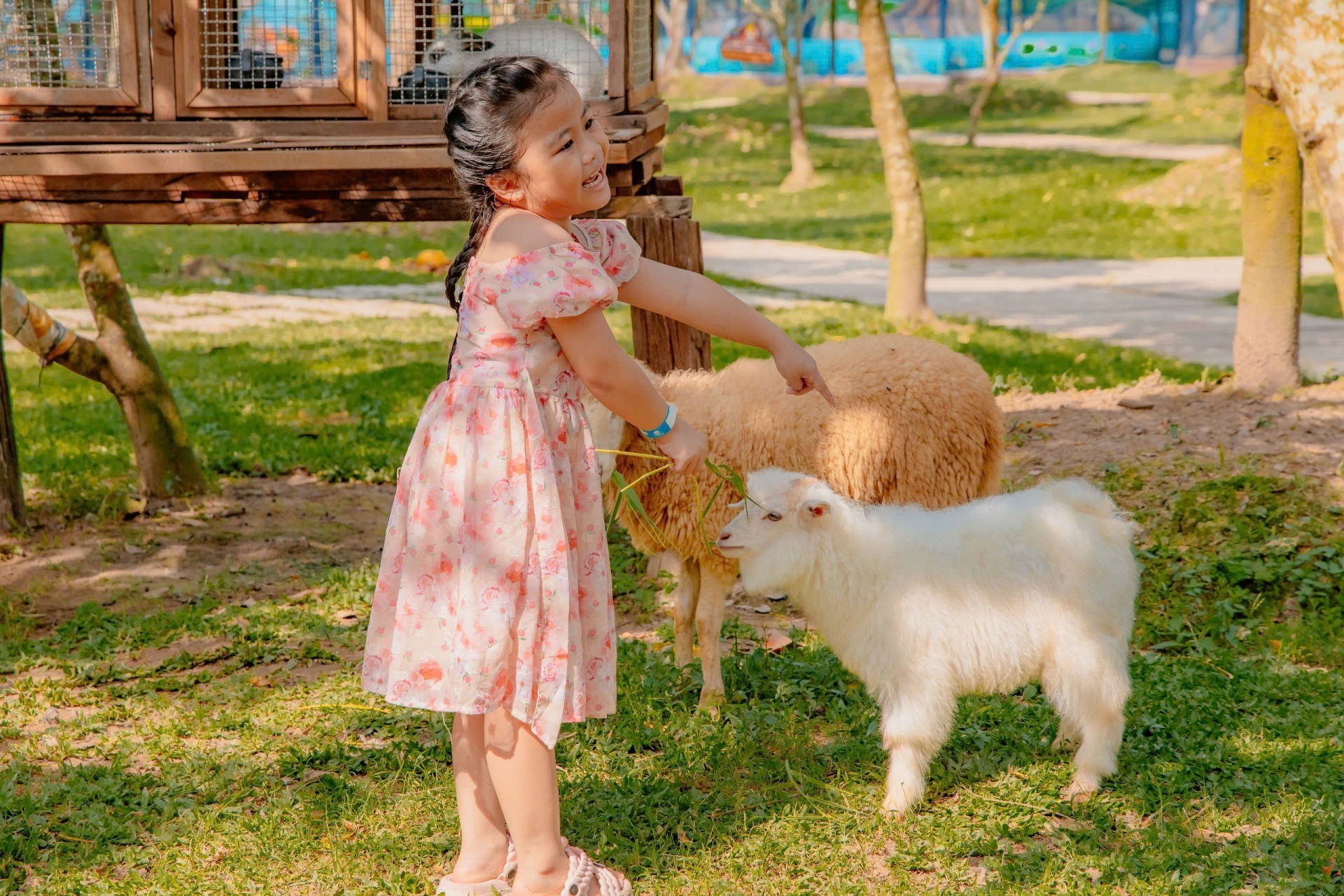 Nhiều chương trình hấp dẫn đón Xuân Ất Tỵ tại Cantho Eco Resort Nhiều chương trình hấp dẫn đón Xuân Ất Tỵ tại Cantho Eco Resort